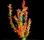 AQUAMENU (АКВАМЕНЮ) - креветка консервированная, 40 г