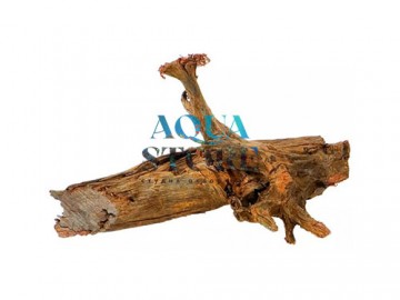 Aquael (Акваэль) - MANGROVE ROOT, Мангровая коряга (M), 25-45 см