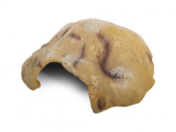 REPTI-ZOO (РЕПТИ-ЗОО) - Пещера для рептилий и амфибий, полусредняя, 14х10х6 см